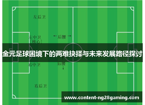 金元足球困境下的两难抉择与未来发展路径探讨 金元足球困境下的两难抉择与未来发展路径探讨