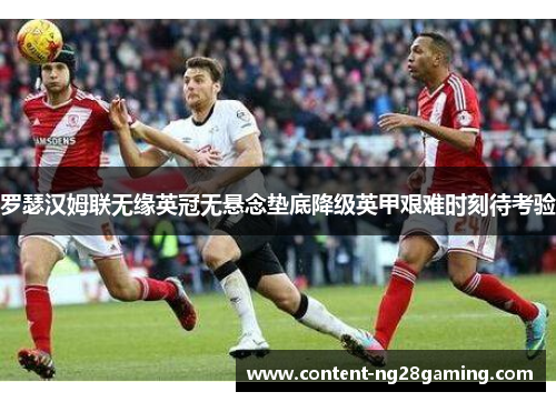 罗瑟汉姆联无缘英冠无悬念垫底降级英甲艰难时刻待考验 罗瑟汉姆联无缘英冠无悬念垫底降级英甲艰难时刻待考验