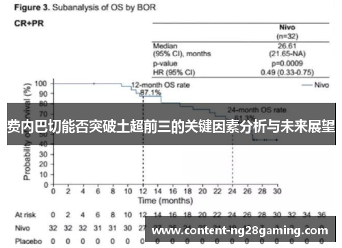 费内巴切能否突破土超前三的关键因素分析与未来展望