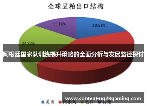 阿根廷国家队训练提升策略的全面分析与发展路径探讨